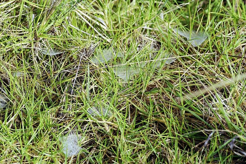 ZZ_ZZXYX_F2326_Z_80_Cape Reinga_Nieuw-Zeeland.jpg